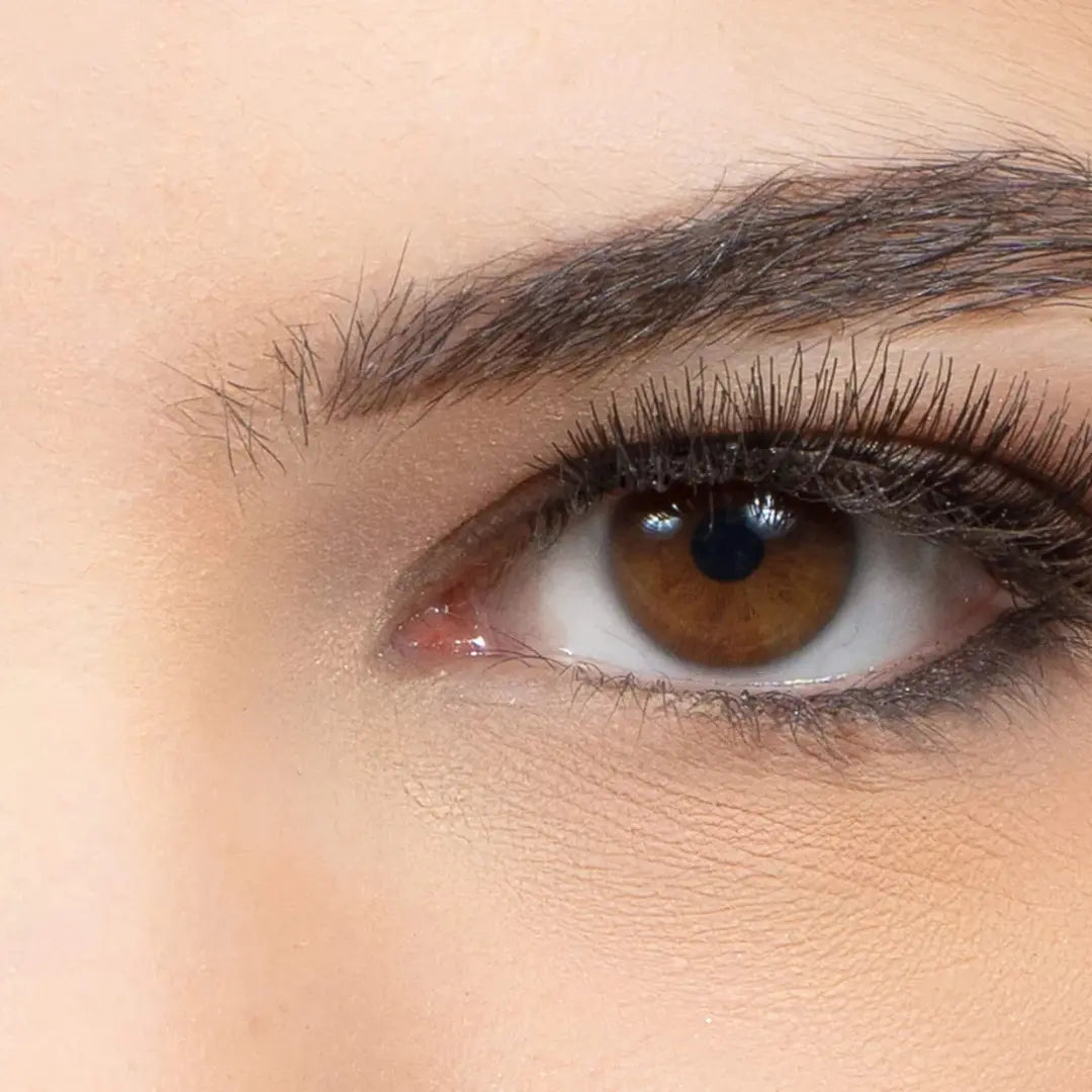 CLARISSA CIGLIA INTERE EYEPNOTICS CC1006.