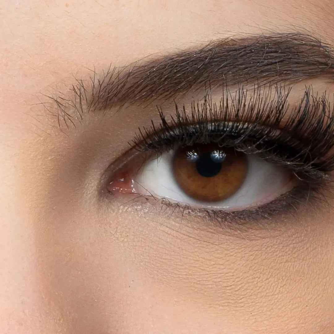 CLARISSA CIGLIA INTERE EYEPNOTICS 3D VOLUME CC1100.