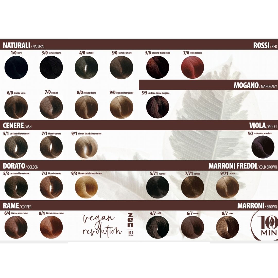 ZEN COLOR 10MIN AMMONIA FREE 9.0 100ML
